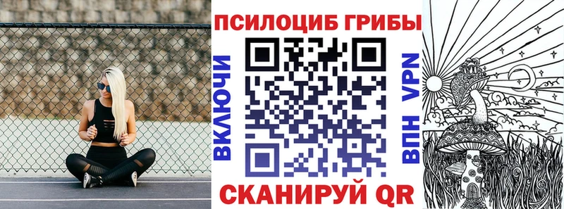 Купить  Гаврилов-Ям  Галлюциногенные грибы Psilocybine cubensis 